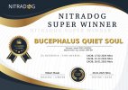 Bucephalus