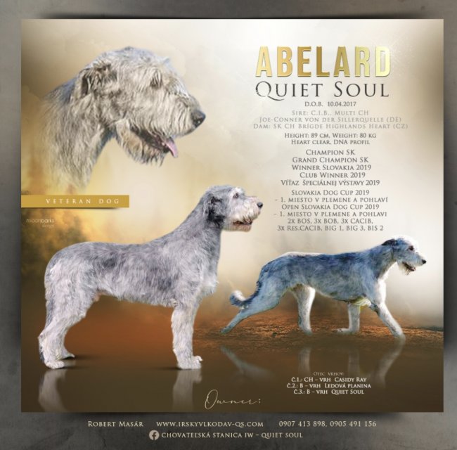 Abelard Quiet Soul