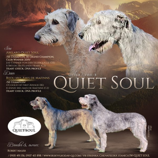 quiet-soul-b-litter