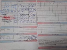 foto1