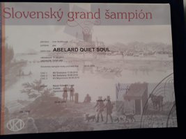 foto1