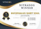 Bucephalus