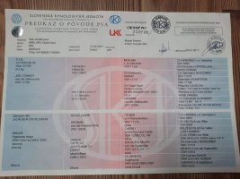 foto1